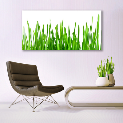 Tableaux sur toile Herbe floral vert