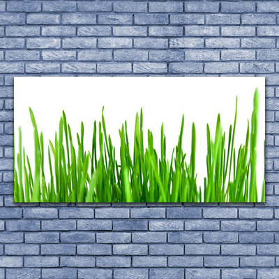 Tableaux sur toile Herbe floral vert