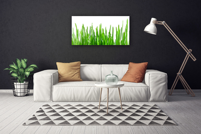 Tableaux sur toile Herbe floral vert