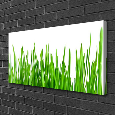 Tableaux sur toile Herbe floral vert