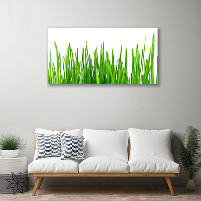 Tableaux sur toile Herbe floral vert