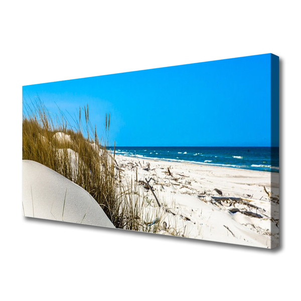 Tableaux sur toile Plage paysage vert blanc