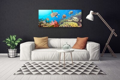 Tableaux sur toile Récif de corail paysage multicolore