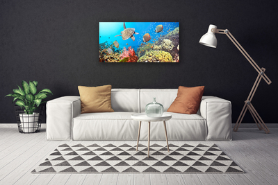Tableaux sur toile Récif de corail paysage multicolore