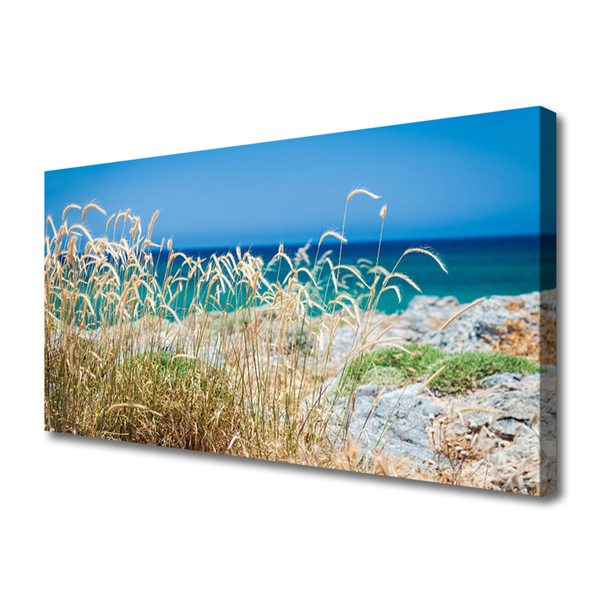 Tableaux sur toile Plage paysage brun