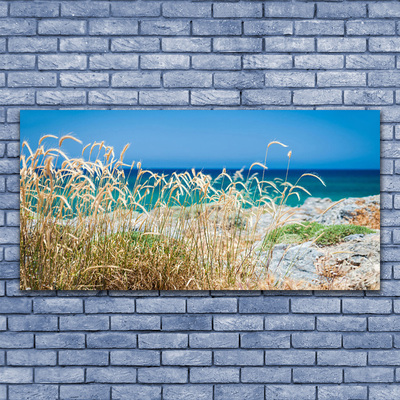 Tableaux sur toile Plage paysage brun