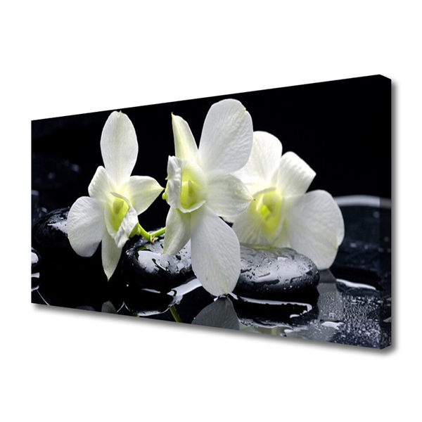 Tableaux sur toile Pierres fleurs floral blanc noir