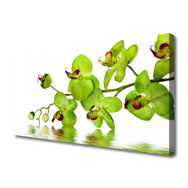 Tableaux sur toile Fleurs floral vert