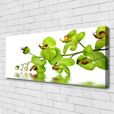 Tableaux sur toile Fleurs floral vert