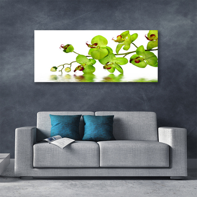 Tableaux sur toile Fleurs floral vert