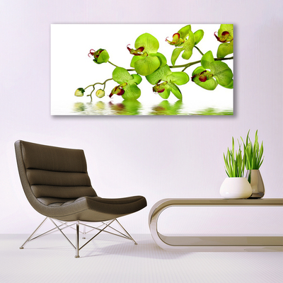 Tableaux sur toile Fleurs floral vert