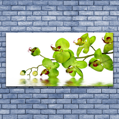 Tableaux sur toile Fleurs floral vert