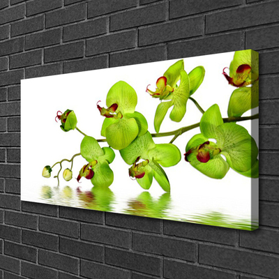 Tableaux sur toile Fleurs floral vert