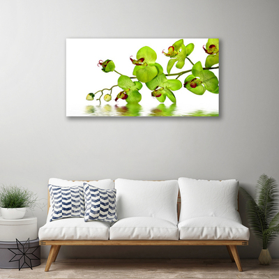 Tableaux sur toile Fleurs floral vert