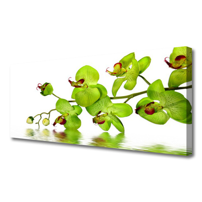 Tableaux sur toile Fleurs floral vert