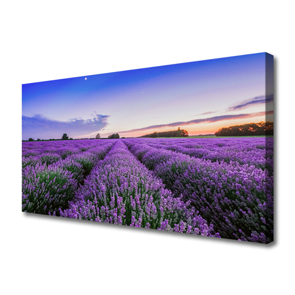Tableaux sur toile Prairie fleurs nature violet vert
