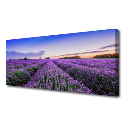 Tableaux sur toile Prairie fleurs nature violet vert