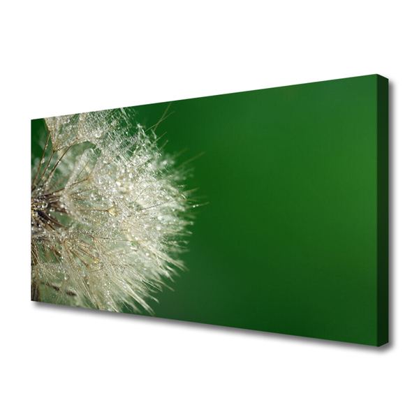 Tableaux sur toile Pissenlit floral blanc vert