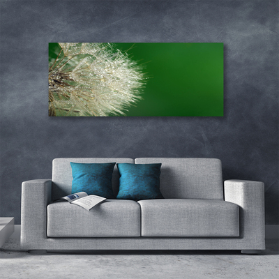Tableaux sur toile Pissenlit floral blanc vert