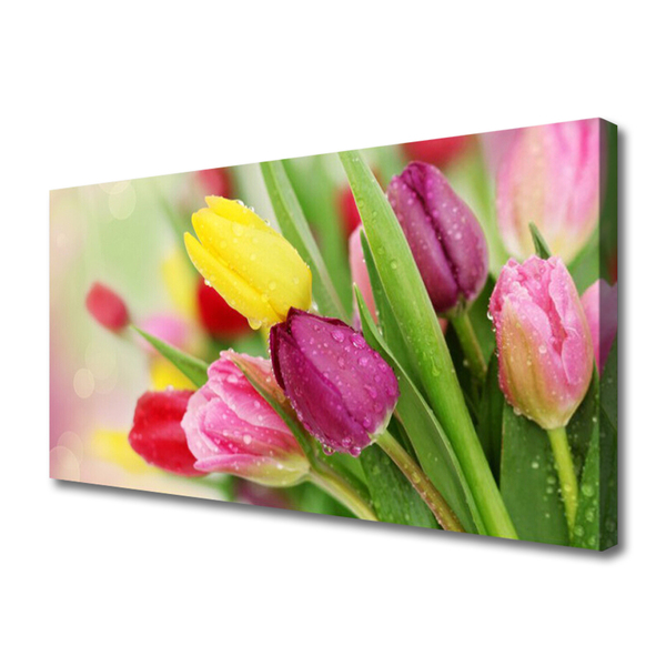 Tableaux sur toile Tulipes floral vert rouge