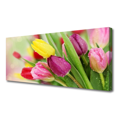 Tableaux sur toile Tulipes floral vert rouge