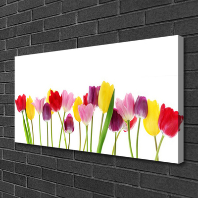 Tableaux sur toile Tulipes floral multicolore
