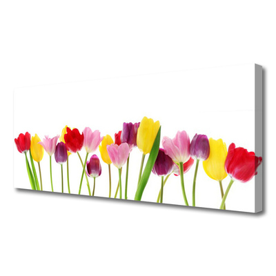 Tableaux sur toile Tulipes floral multicolore