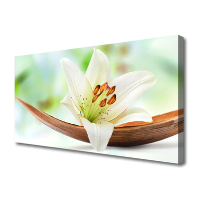 Tableaux sur toile Fleur floral blanc
