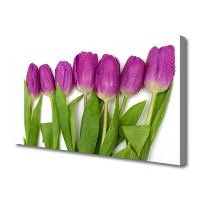 Tableaux sur toile Tulipes floral rouge vert