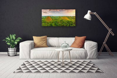 Tableaux sur toile Forêt nature vert