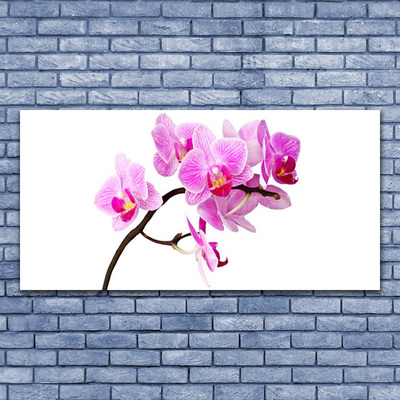 Tableaux sur toile Fleurs floral rose brun