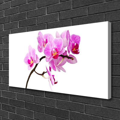 Tableaux sur toile Fleurs floral rose brun