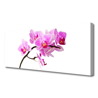 Tableaux sur toile Fleurs floral rose brun