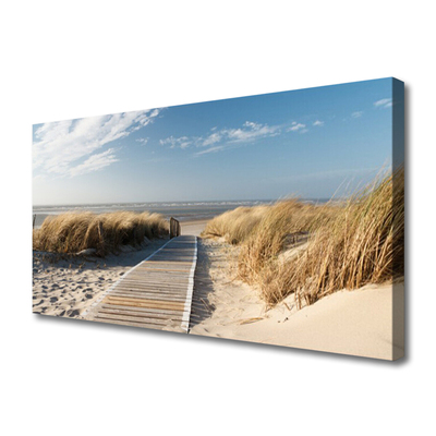 Tableaux sur toile Plage chemin paysage gris vert bleu