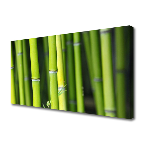 Tableaux sur toile Bambou nature vert