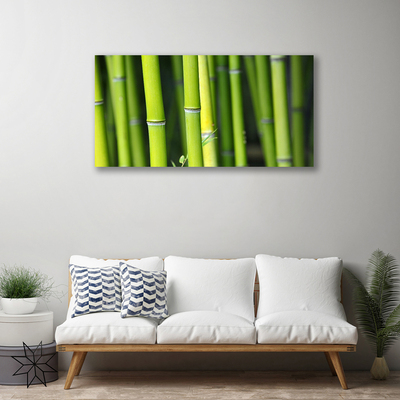 Tableaux sur toile Bambou nature vert