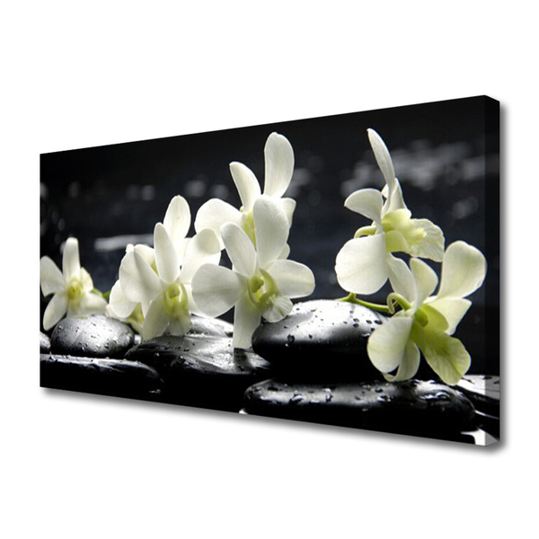 Tableaux sur toile Fleurs pierres floral blanc noir