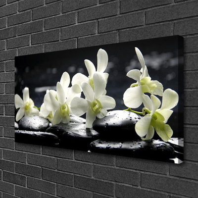 Tableaux sur toile Fleurs pierres floral blanc noir