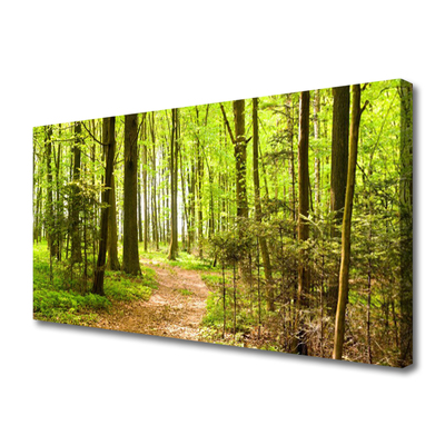 Tableaux sur toile Forêt nature brun vert