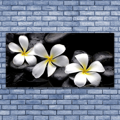 Tableaux sur toile Pierres fleurs floral blanc noir