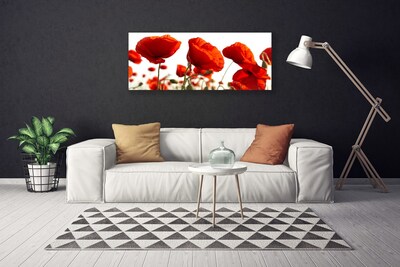 Tableaux sur toile Coquelicots floral rouge