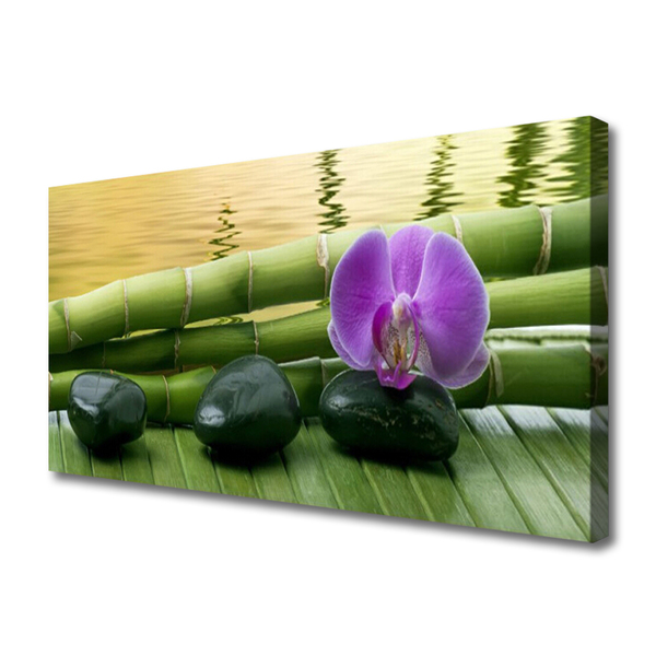 Tableaux sur toile Pierres fleurs bambou tige floral rose noir vert