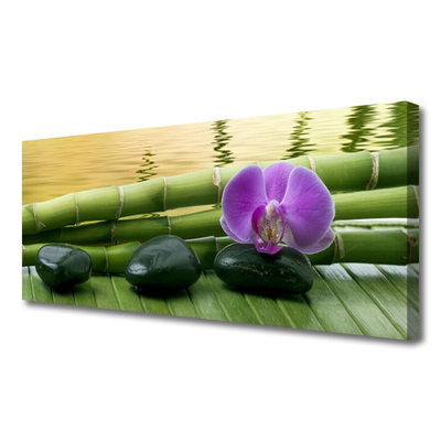 Tableaux sur toile Pierres fleurs bambou tige floral rose noir vert