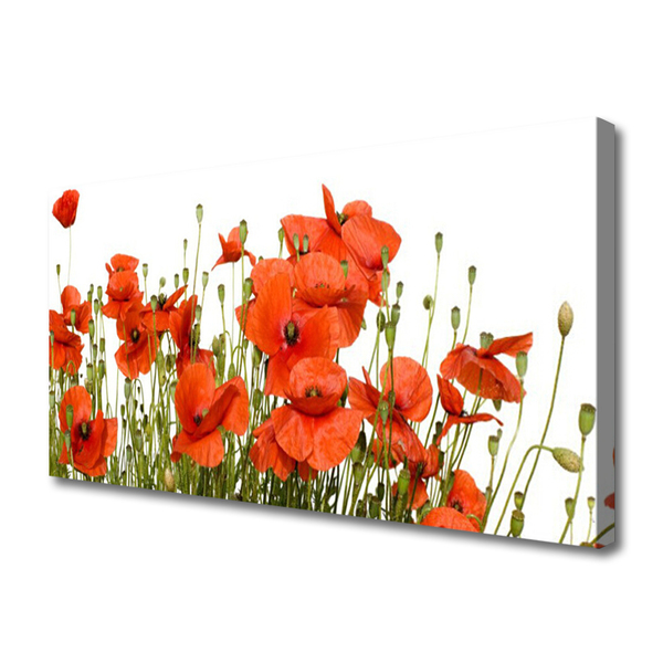 Tableaux sur toile Coquelicots floral rouge