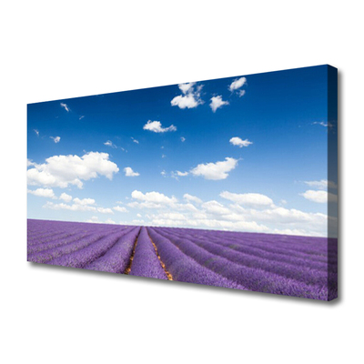 Tableaux sur toile Fleurs prairie nature violet