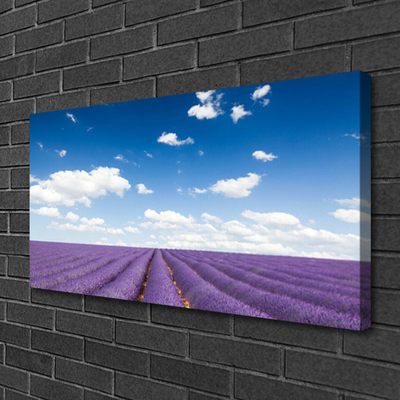 Tableaux sur toile Fleurs prairie nature violet
