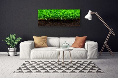 Tableaux sur toile Herbe nature vert