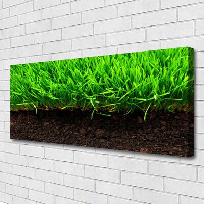 Tableaux sur toile Herbe nature vert