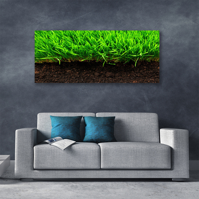 Tableaux sur toile Herbe nature vert