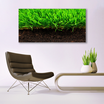 Tableaux sur toile Herbe nature vert